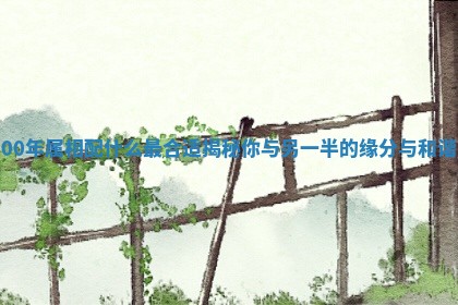 00年属相配什么最合适揭秘你与另一半的缘分与和谐