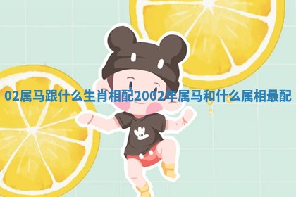 02属马跟什么生肖相配_2002年属马和什么属相最配