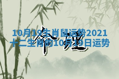 10月19生肖鼠运势_2021十二生肖的10月19日运势