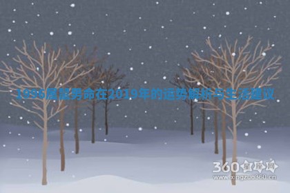 1996属鼠男命在2019年的运势解析与生活建议