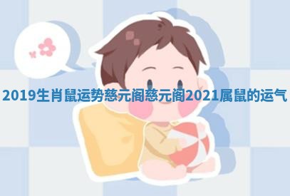 2019生肖鼠运势慈元阁 慈元阁2021属鼠的运气 2019生肖鼠运势慈元阁 慈元阁2021属鼠的运气