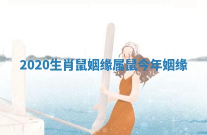 2020生肖鼠姻缘_属鼠今年姻缘
