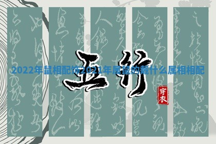 2022年鼠相配饰_2021年属鼠的戴什么属相相配