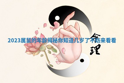 2023属鼠的年龄揭秘你知道几岁了不妨来看看