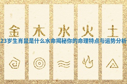 23岁生肖鼠是什么水命揭秘你的命理特点与运势分析 23岁生肖鼠是什么水命揭秘你的命理特点与运势分析