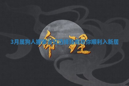 3月属狗人搬家吉日选择指南助你顺利入新居