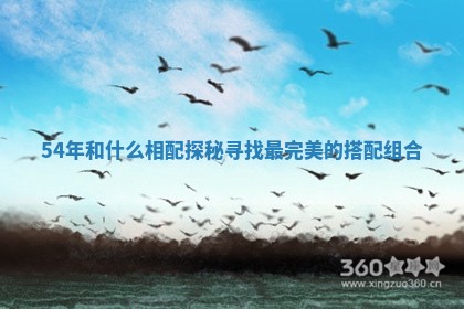 54年和什么相配探秘寻找最完美的搭配组合 54年和什么相配探秘寻找最完美的搭配组合
