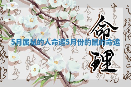 5月属鼠的人命运_5月份的鼠的命运