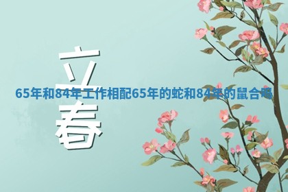 65年和84年工作相配_65年的蛇和84年的鼠合吗 65年和84年工作相配_65年的蛇和84年的鼠合吗