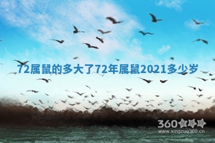72属鼠的多大了 72年属鼠2021多少岁 72属鼠的多大了 72年属鼠2021多少岁