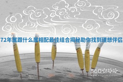 72年属跟什么属相配最佳组合揭秘助你找到理想伴侣