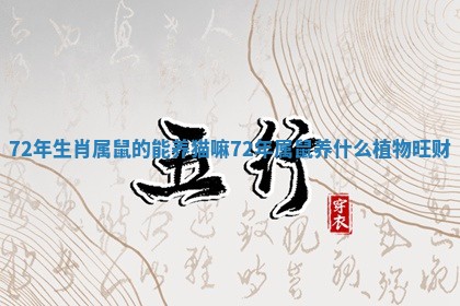 72年生肖属鼠的能养猫嘛_72年属鼠养什么植物旺财