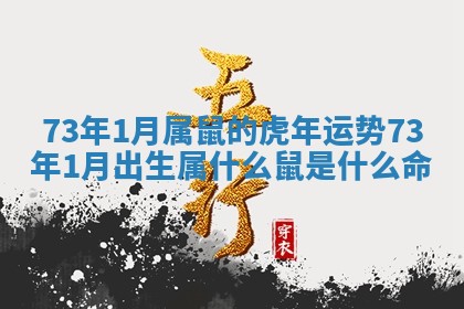 73年1月属鼠的虎年运势 73年1月出生属什么鼠是什么命