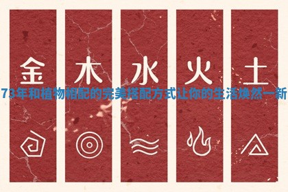 73年和植物相配的完美搭配方式让你的生活焕然一新