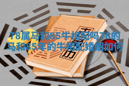 78属马和85牛相配吗 78的马和85年的牛相配婚姻如何