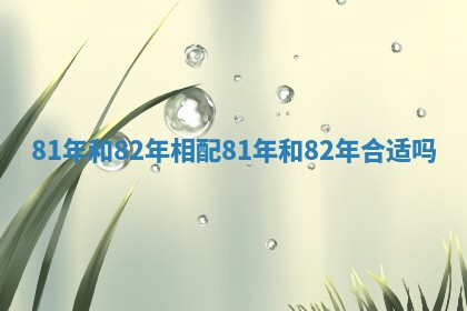81年和82年相配_81年和82年合适吗
