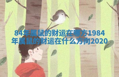 84年属鼠的财运在哪方_1984年属鼠的财运在什么方向2020