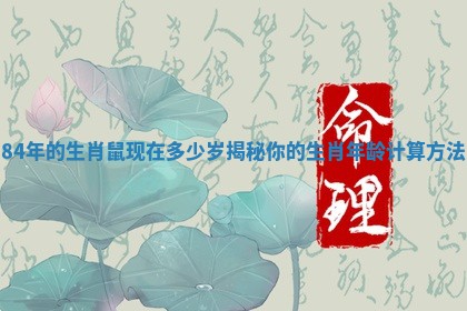 84年的生肖鼠现在多少岁揭秘你的生肖年龄计算方法