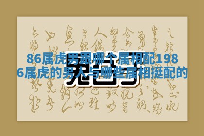 86属虎男跟哪个属相配 1986属虎的男人与哪些属相挺配的