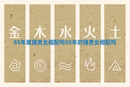 95年属猪男女相配吗_95年的猪男女相配吗