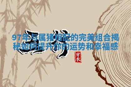 97年与属猪相配的完美组合揭秘如何提升你的运势和幸福感