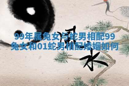 99年属兔女与蛇男相配_99兔女和01蛇男相配婚姻如何 99年属兔女与蛇男相配_99兔女和01蛇男相配婚姻如何