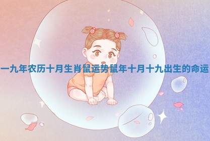 一九年农历十月生肖鼠运势 鼠年十月十九出生的命运