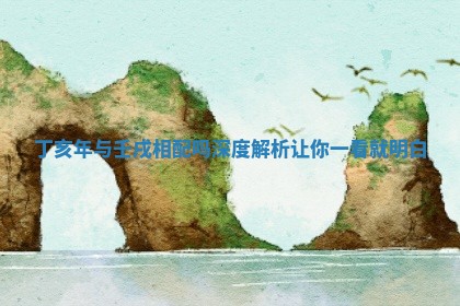 丁亥年与壬戌相配吗深度解析让你一看就明白