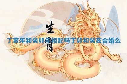 丁亥年和癸卯年相配吗_丁卯和癸亥合婚么