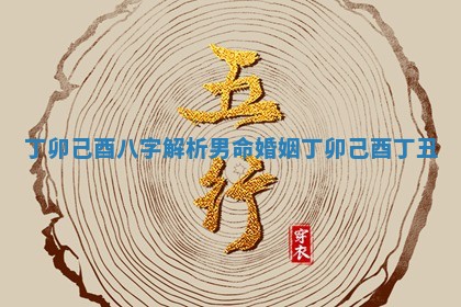 丁卯己酉八字解析男命婚姻_丁卯己酉丁丑
