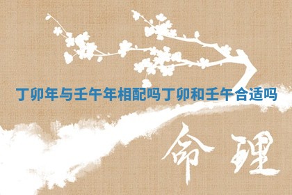 丁卯年与壬午年相配吗 丁卯和壬午合适吗