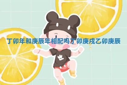 丁卯年和庚辰年相配吗_丁卯庚戌乙卯庚辰 丁卯年和庚辰年相配吗_丁卯庚戌乙卯庚辰