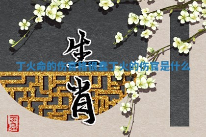 丁火命的伤官格很蠢_丁火的伤官是什么