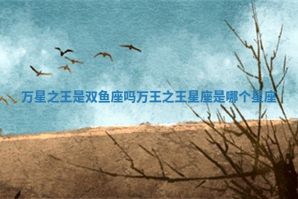 万星之王是双鱼座吗_万王之王星座是哪个星座
