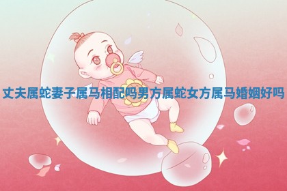 丈夫属蛇妻子属马相配吗 男方属蛇女方属马婚姻好吗