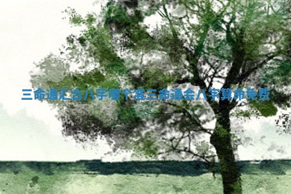 三命通汇合八字哪个准 三命通会八字算命免费