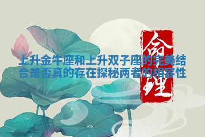 上升金牛座和上升双子座的完美结合是否真的存在探秘两者的相容性