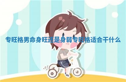 专旺格男命身旺还是身弱_专旺格适合干什么