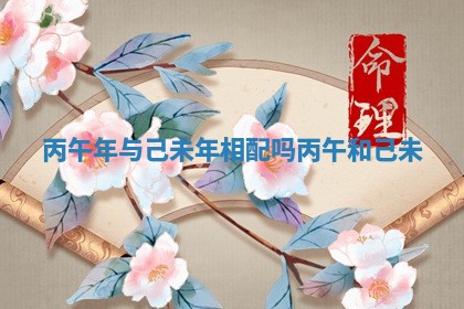 丙午年与己未年相配吗 丙午和己未