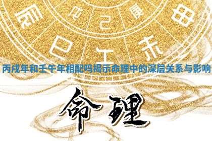 丙戌年和壬午年相配吗揭示命理中的深层关系与影响