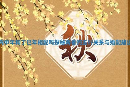 丙申年和丁巳年相配吗探秘两者的五行关系与婚配建议