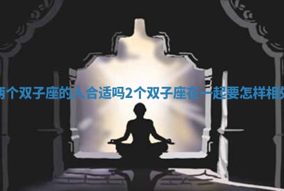 两个双子座的人合适吗_2个双子座在一起要怎样相处