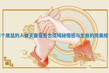 两个属鼠的人做夫妻是否合适揭秘情感与生肖的完美结合