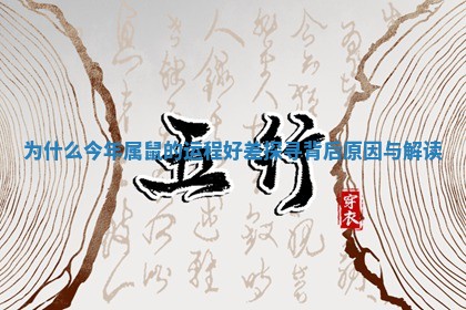 为什么今年属鼠的运程好差探寻背后原因与解读