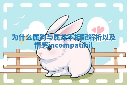 为什么属狗与属龙不相配解析以及情感 incompatibil