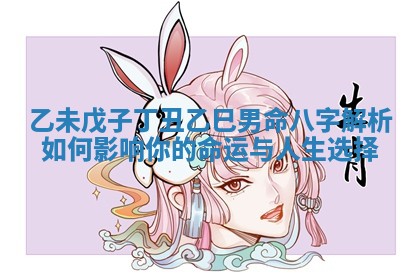 乙未戊子丁丑乙巳男命八字解析如何影响你的命运与人生选择