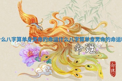 什么八字算单身男命的命运 什么八字算单身男命的命运呢