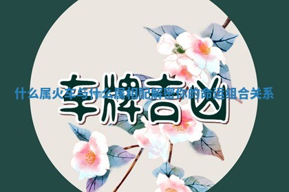 什么属火车与什么属相配解密你的命运组合关系