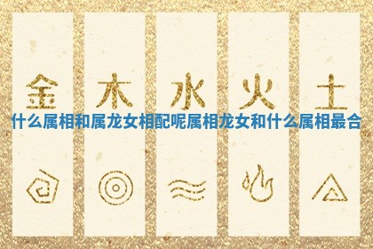什么属相和属龙女相配呢_属相龙女和什么属相最合