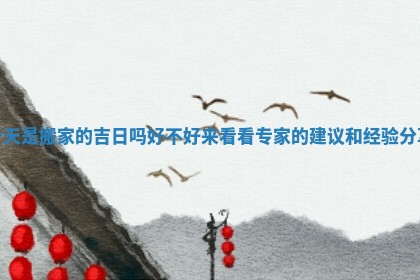 今天是搬家的吉日吗好不好来看看专家的建议和经验分享